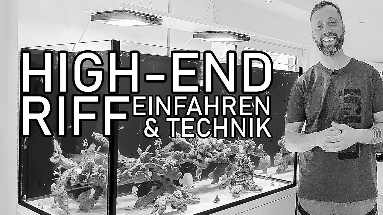 HIGH-END saltwater aquarium |  Issues when operating in, fish & expertise EXPLAINED (600l)